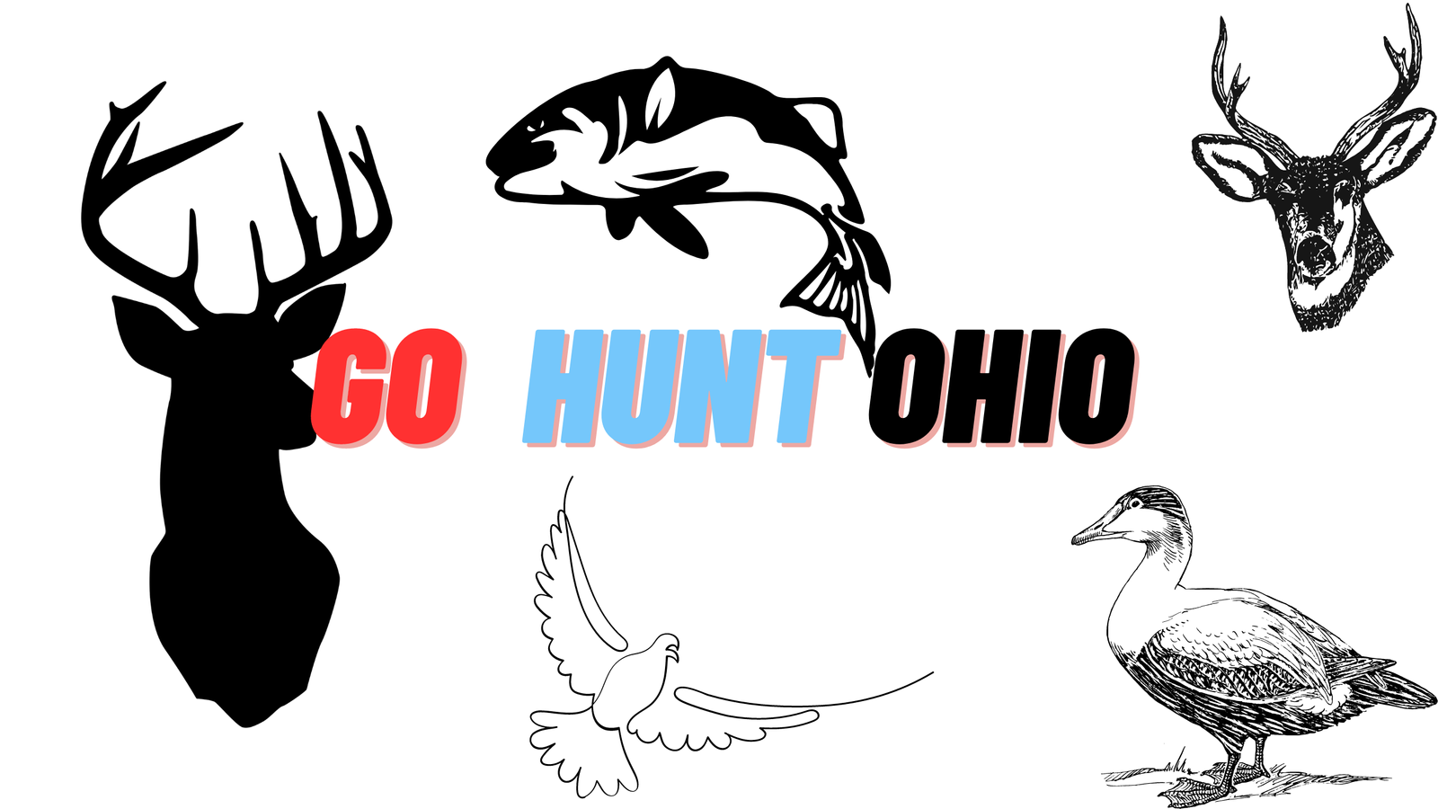 5 of the Best Places To Hunt In Ohio: Hunting Public Land - Go Hunt Ohio