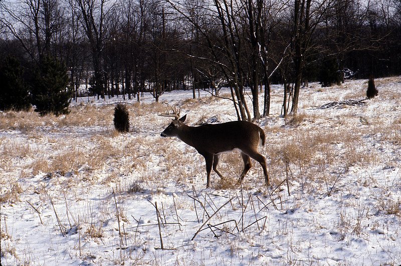 Ohio’s Hunting Seasons Dates Proposed What’s Changing in 20242025